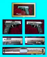 SIG 229 New Hampshire various views.jpg