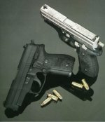 SIG 229 New Hampshire.jpg