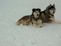 100_0732.jpg