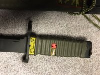 SIG Euckhorn AES M9.jpg