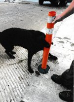 Scan_20210104.jpg