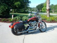 IMG_20120508_082727.jpg