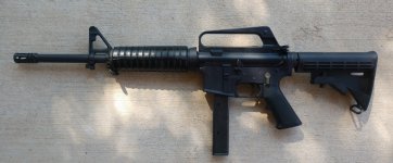Colt1.jpg Colt1.jpg