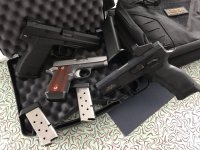 HK Phoenix Kimber.jpg HK Phoenix Kimber.jpg