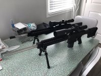 Cobb pair with optics 2.jpg