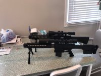 Cobb pair with optics 4.jpg