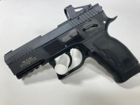 Phoenix Fusion TA Shield.jpg