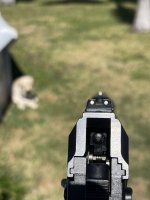 IMG_6481.jpeg