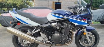 Suzuki Bandit 9-11-24.jpg