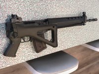 SIG PE folded full.jpg