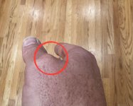 1759890612549.jpeg 1759890612549.jpeg