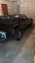 Trans Am 3.jpg