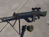 post SIG542 sideview.jpg