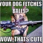 IMG_2550.jpeg