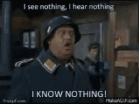 Sgt. Schultz.gif