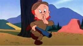 Elmer Fudd.jpg