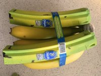 IMG_5607[1].JPG