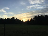 9109F383-8ABE-4AEB-8860-70EB081BC398.jpeg