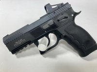 Phoenix Fusion TA Shield.jpg