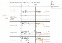 Antibody Neutralization 2.jpg