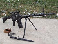 post SIG PE57 [small].jpg