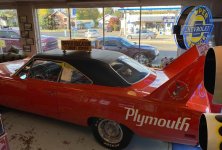 SuperBird-006.jpg