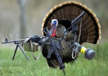 turkey guns.jpg