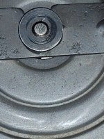 IMG_20220123_221918819.jpg