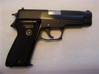 000_1350 (Medium).jpg