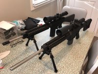 Cobb pair with optics.jpg