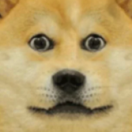 ted