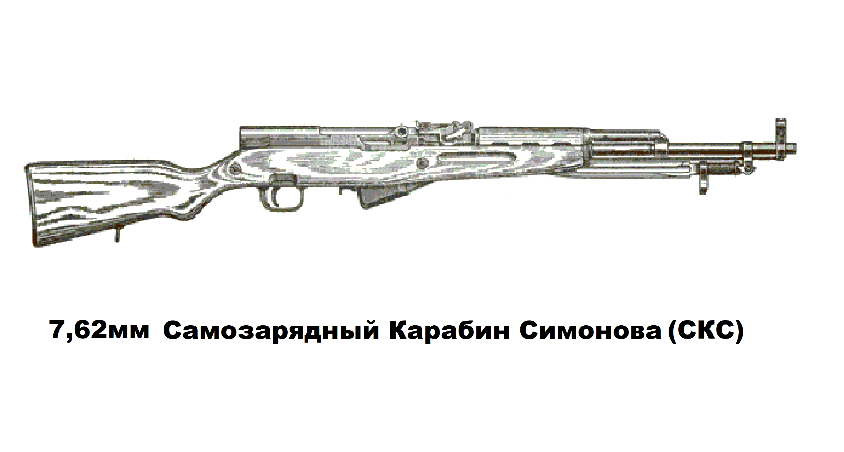 SKS-Drawing-1.gif